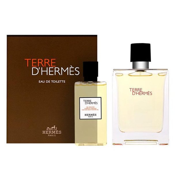 HermĆØs Terre D'HermĆØs EDT 100 ml + SG 80 ml (man)