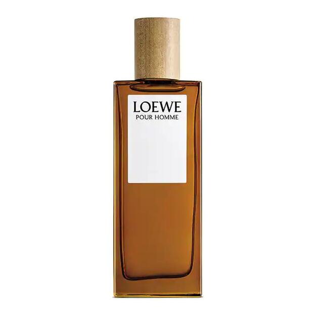 LOEWE POUR HOMME edt vapo 100 ml