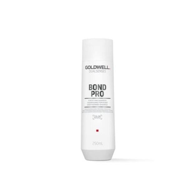 Goldwell Ds Bp Shampoo 250 Ml