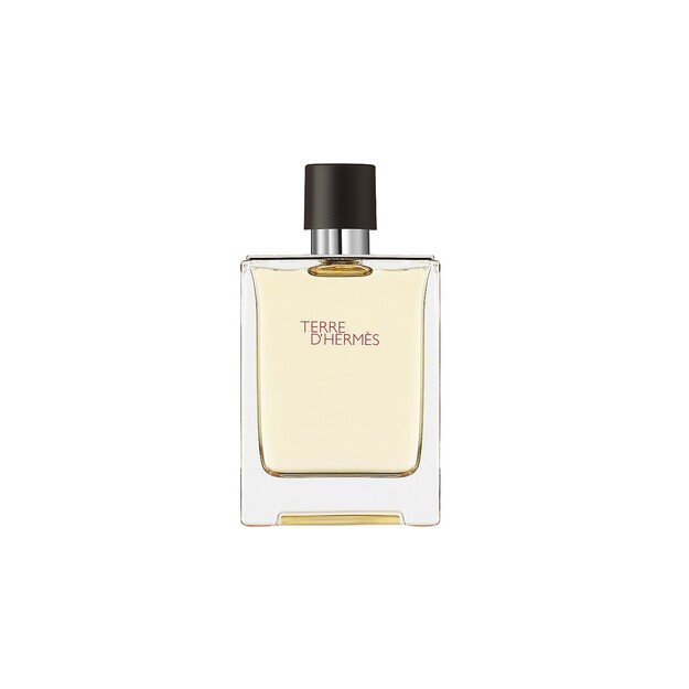 Hermes Terre D'hermes Eau De Toilette Spray 100ml