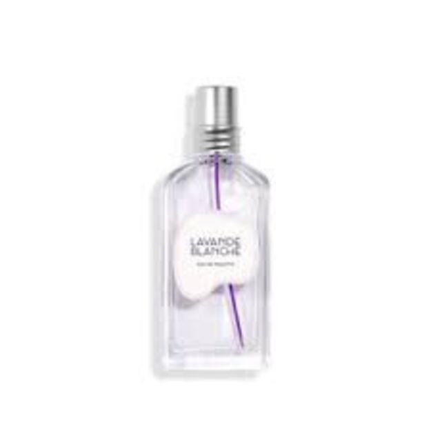 WHITE LAVENDER edt vapor 50 ml